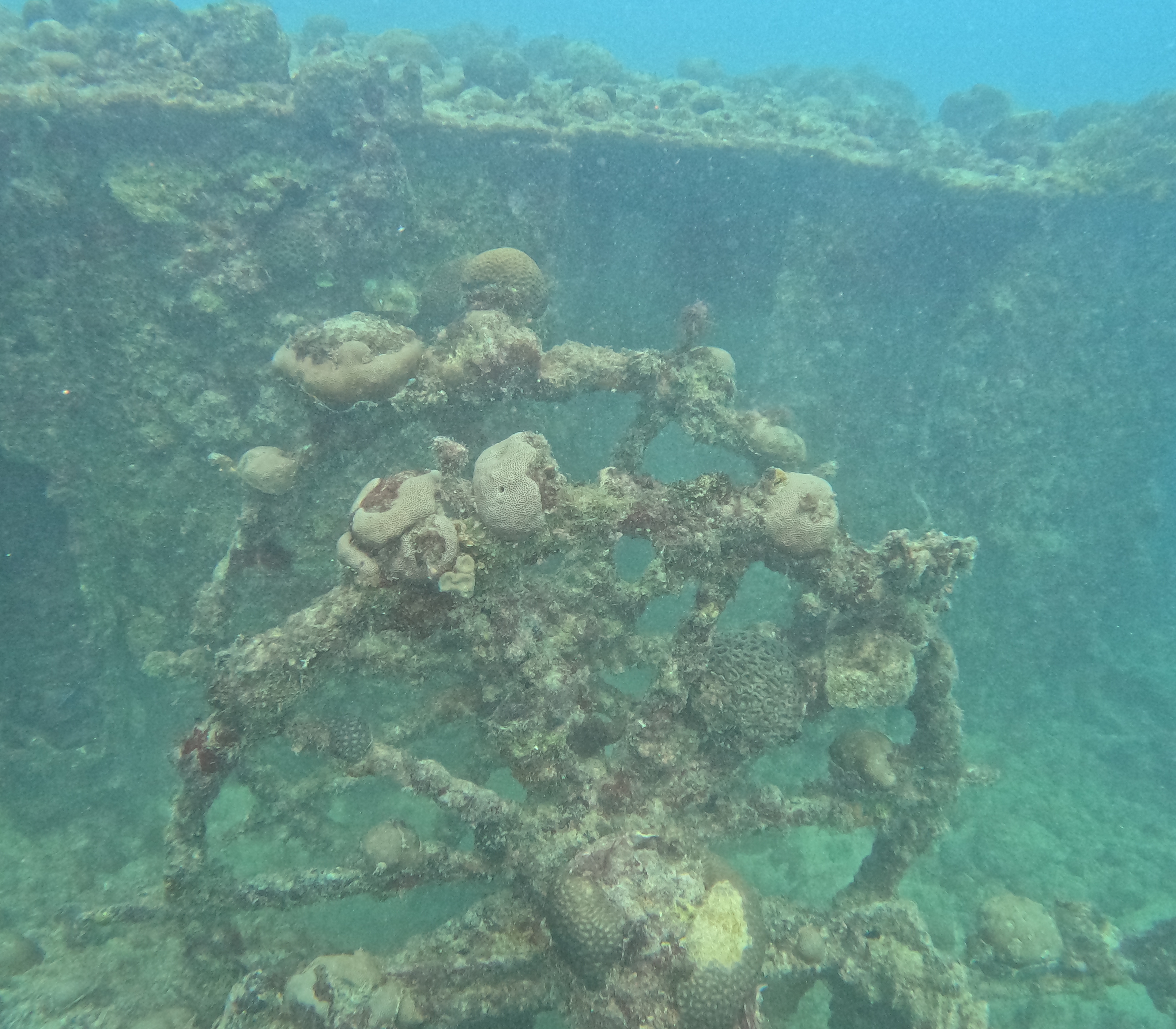 Picture taken during the dive