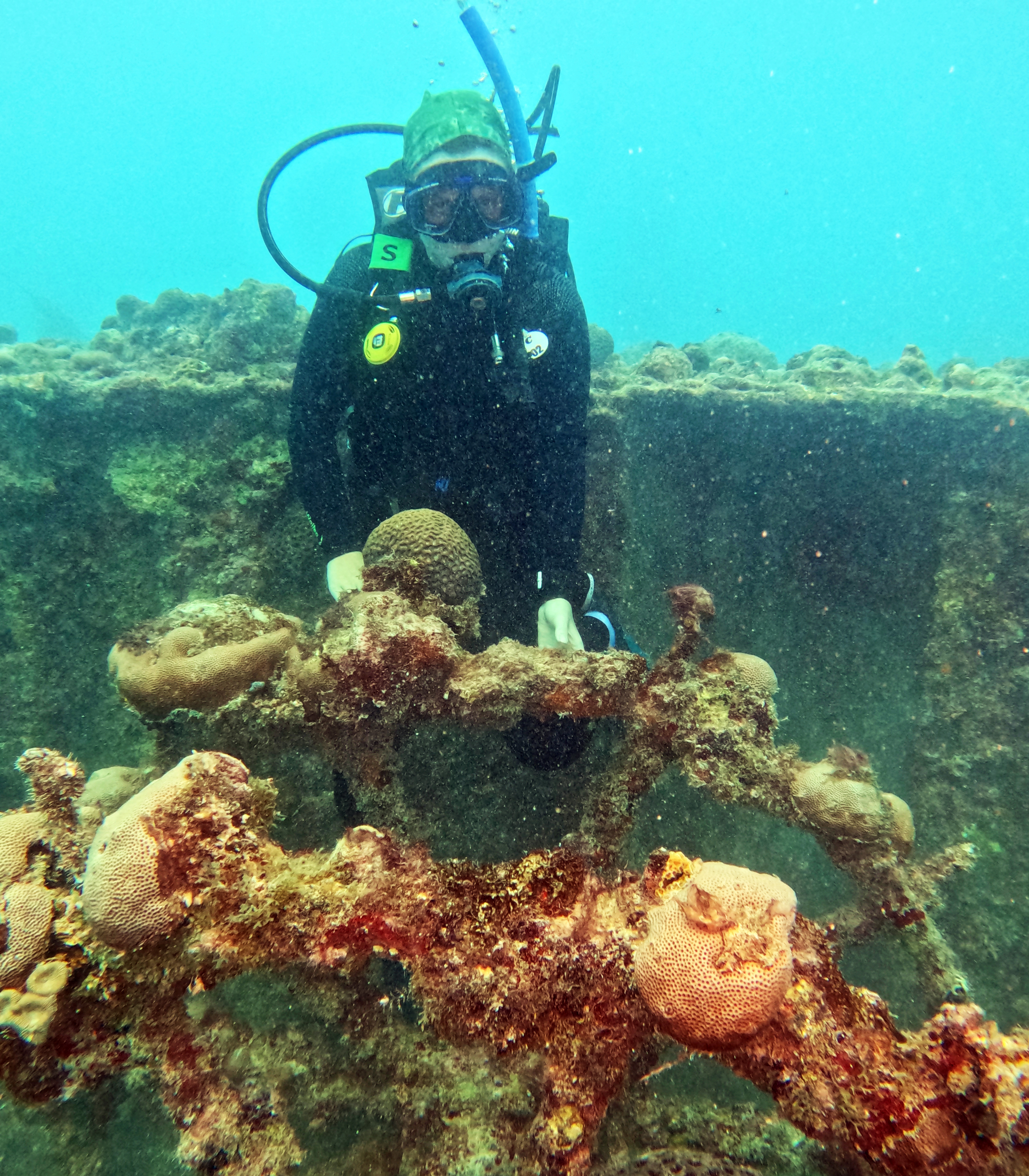 Picture taken during the dive