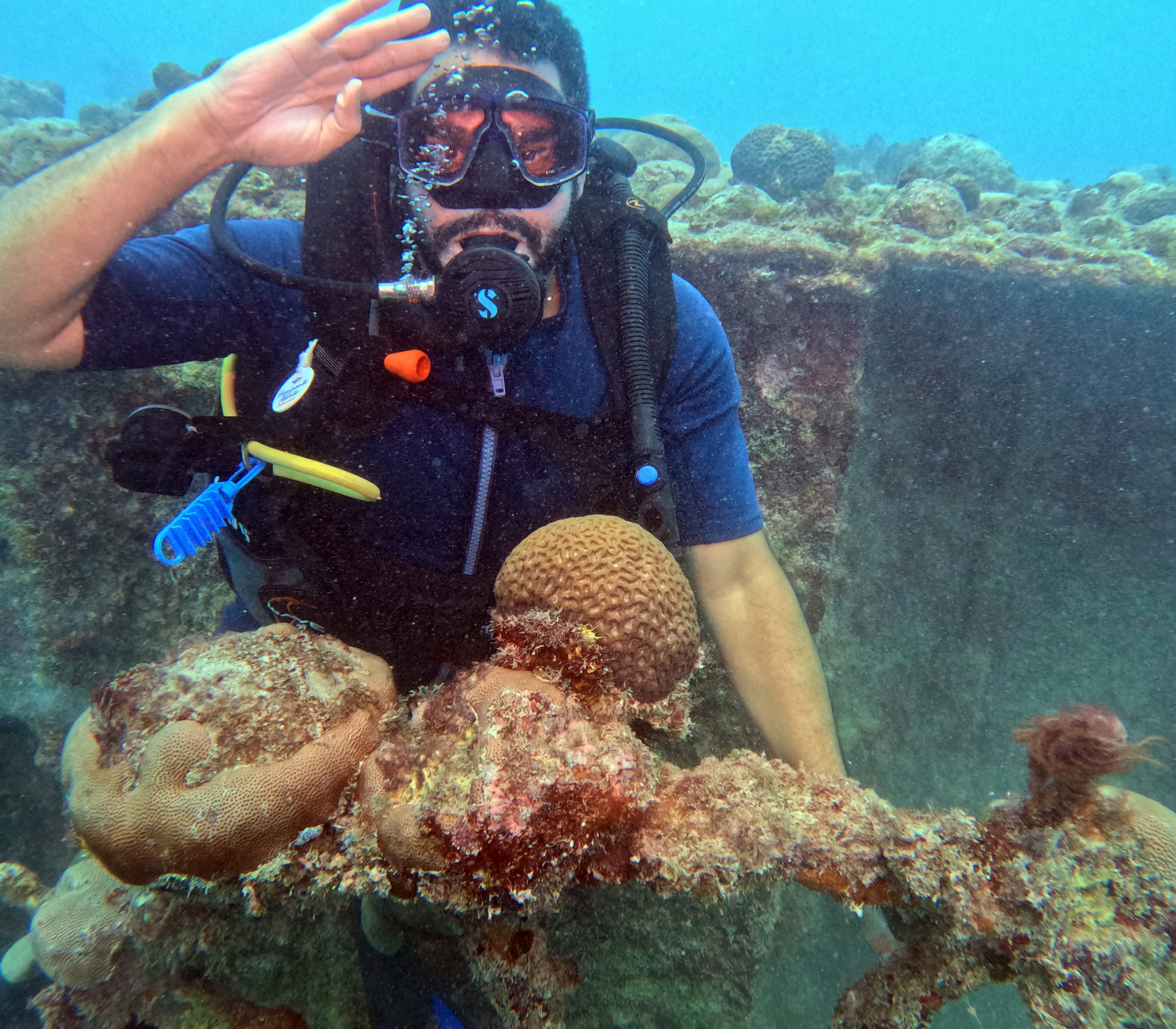 Picture taken during the dive