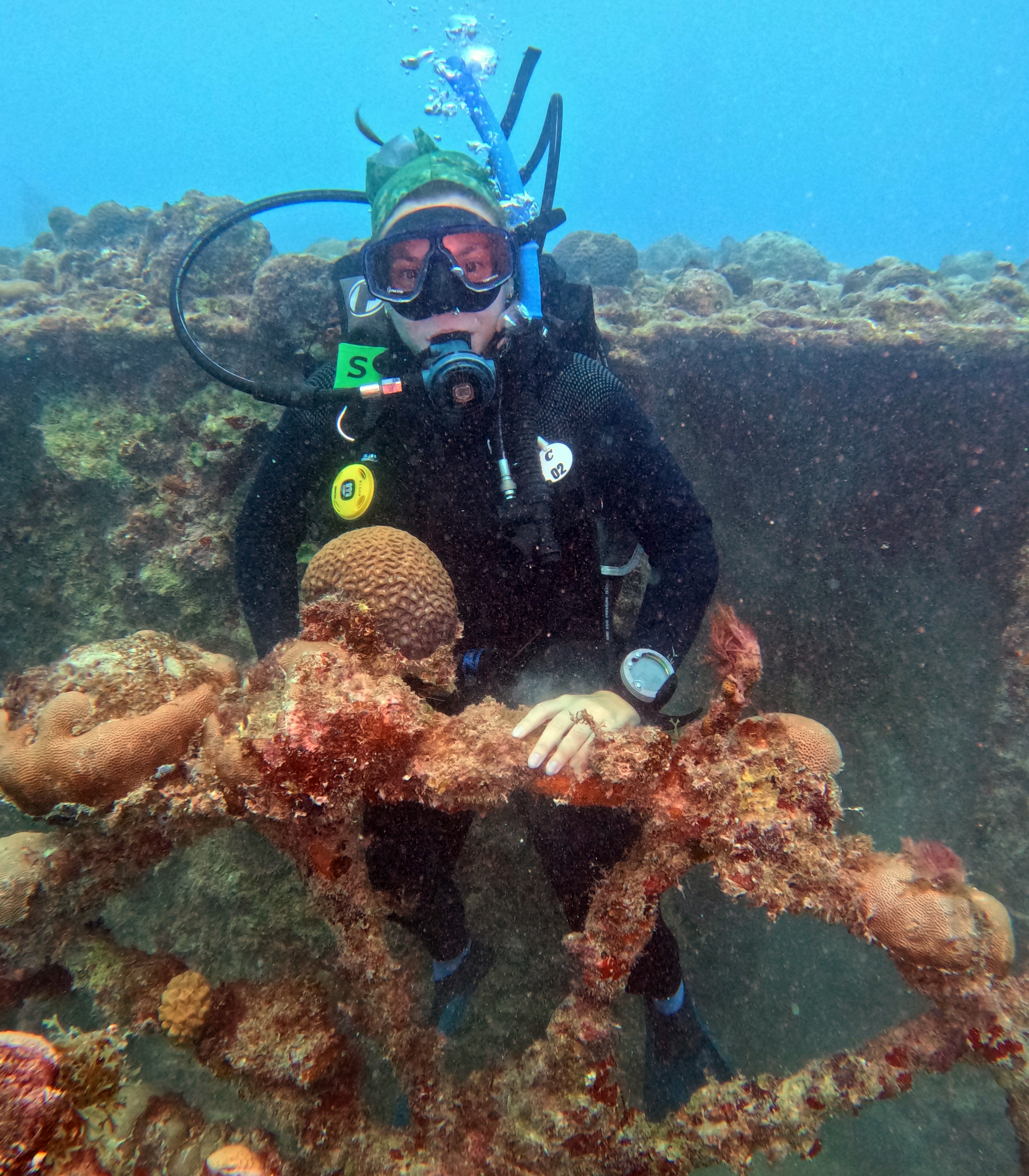 Picture taken during the dive