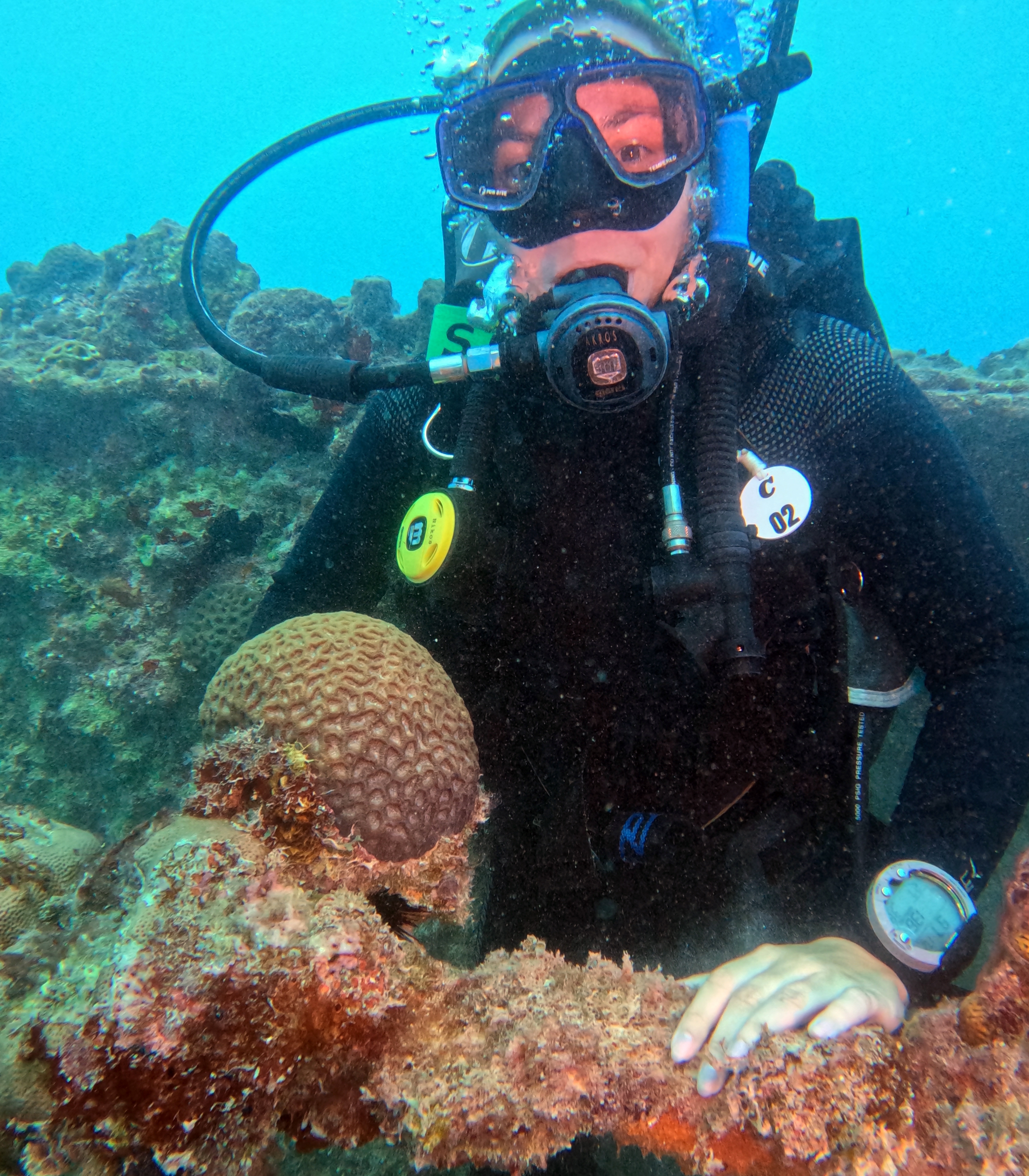 Picture taken during the dive