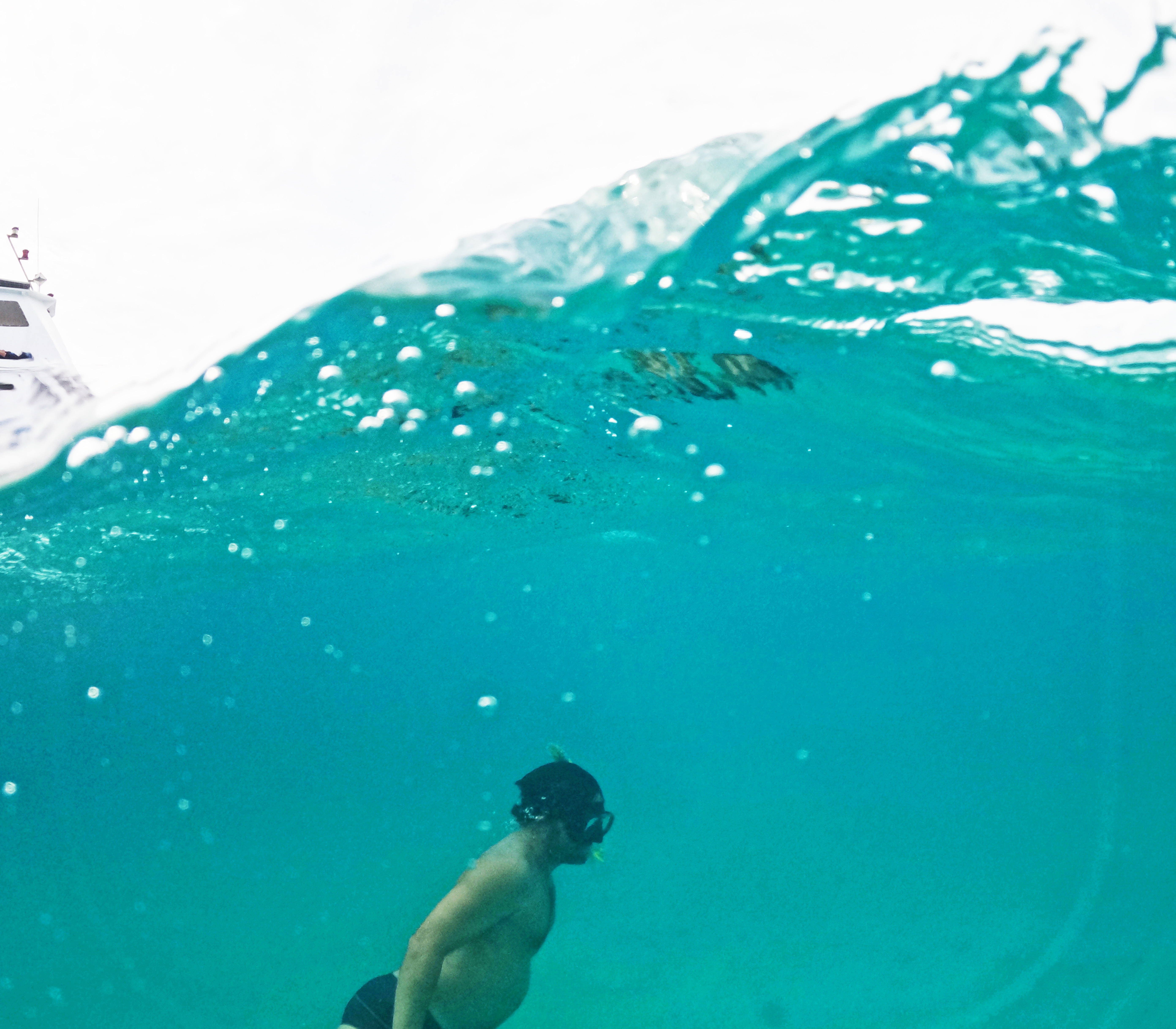 Picture taken during the dive