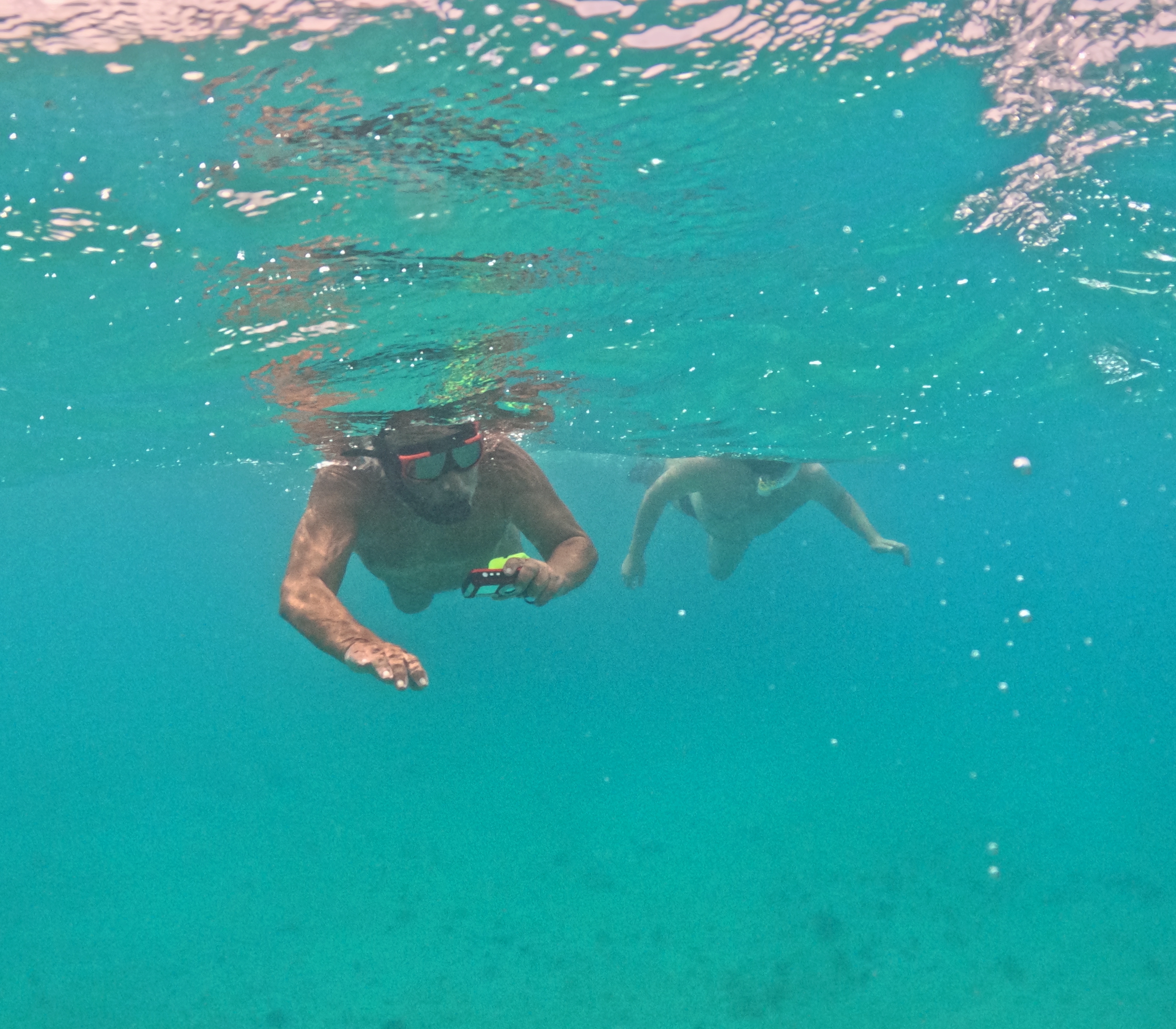 Picture taken during the dive