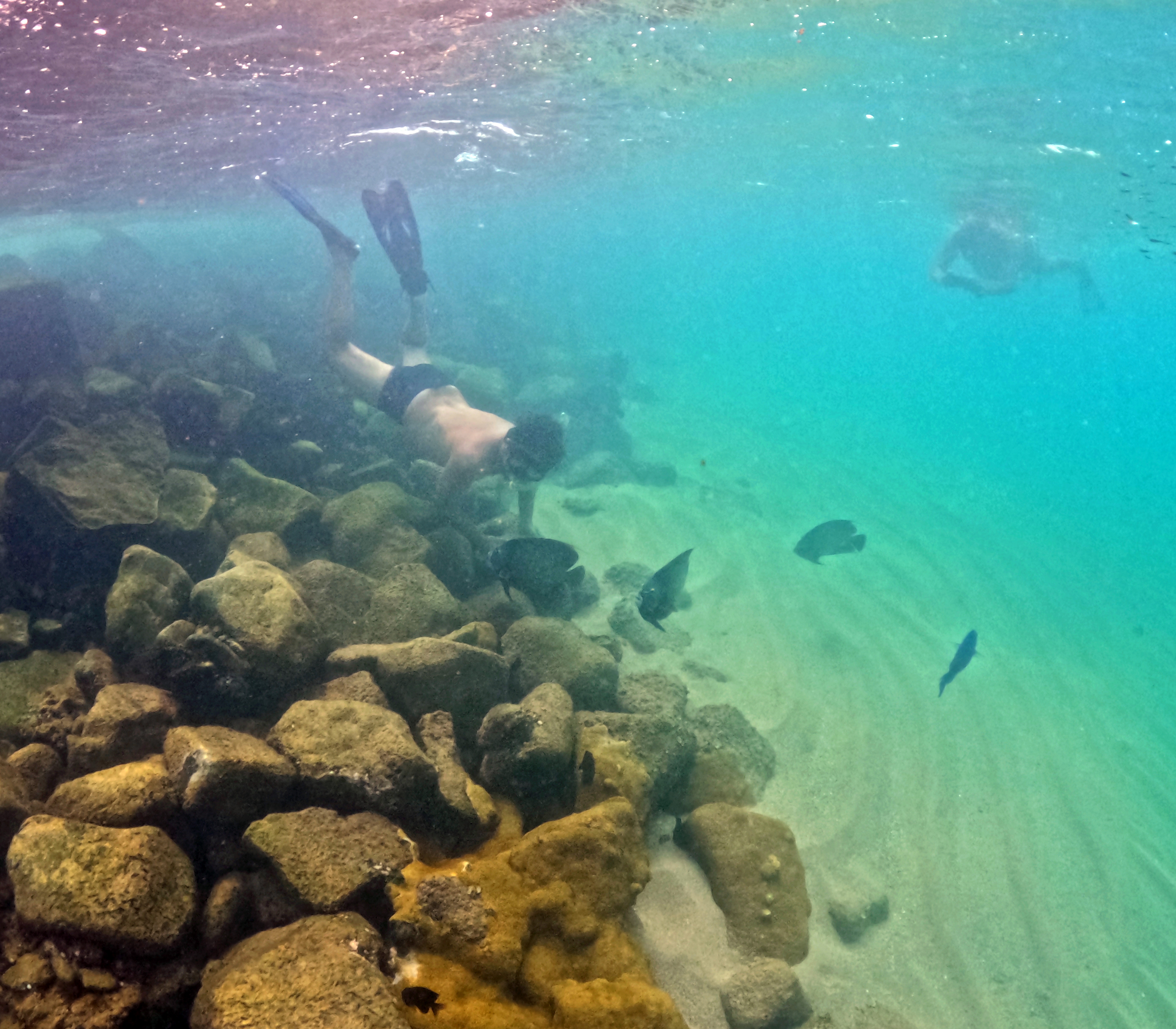 Picture taken during the dive