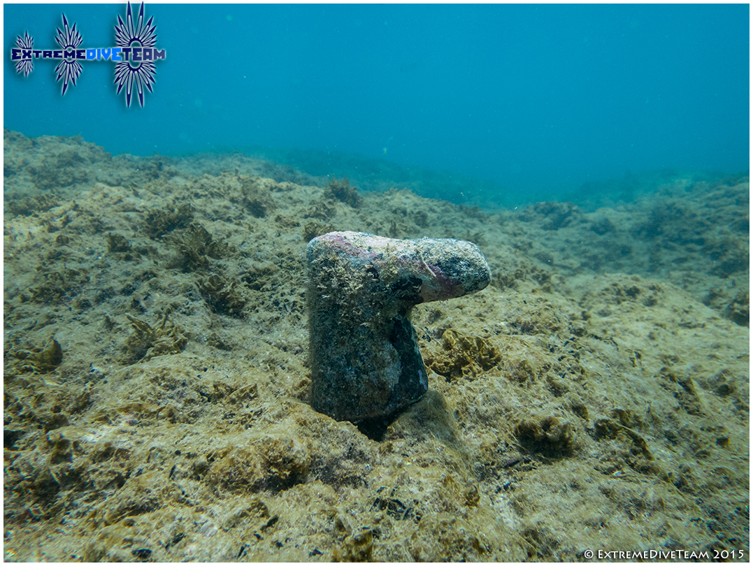 Picture taken during the dive