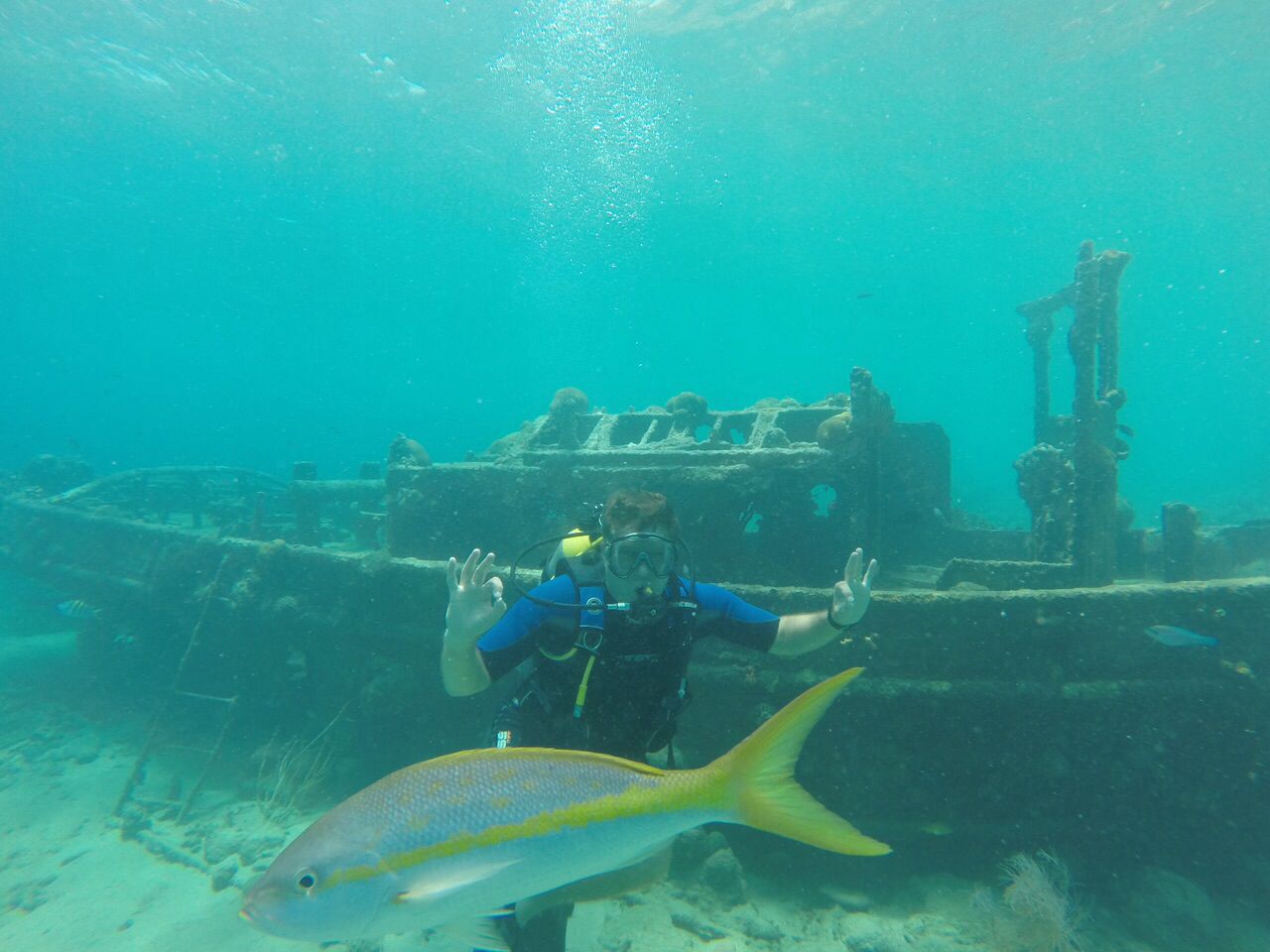 Picture taken during the dive