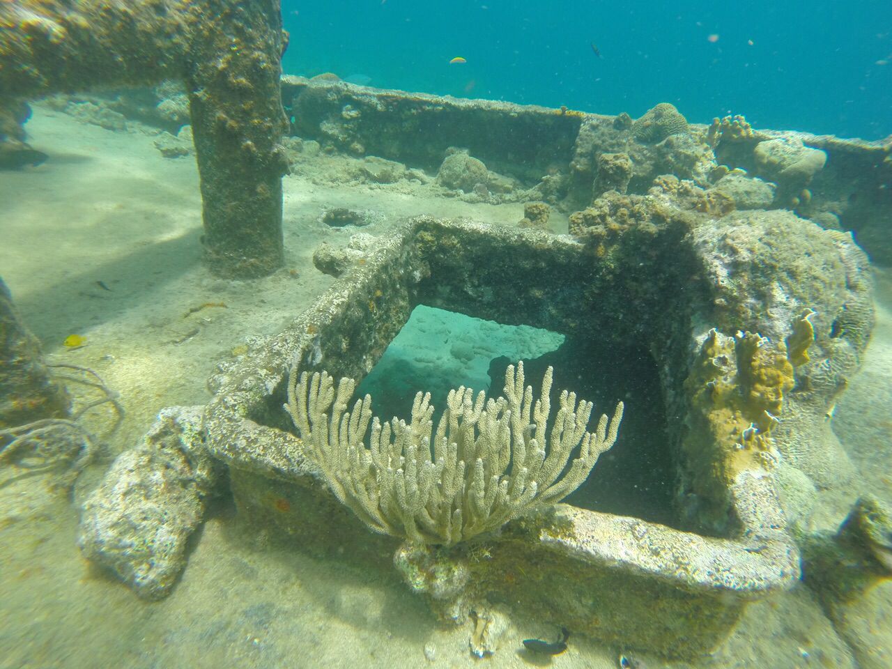 Picture taken during the dive