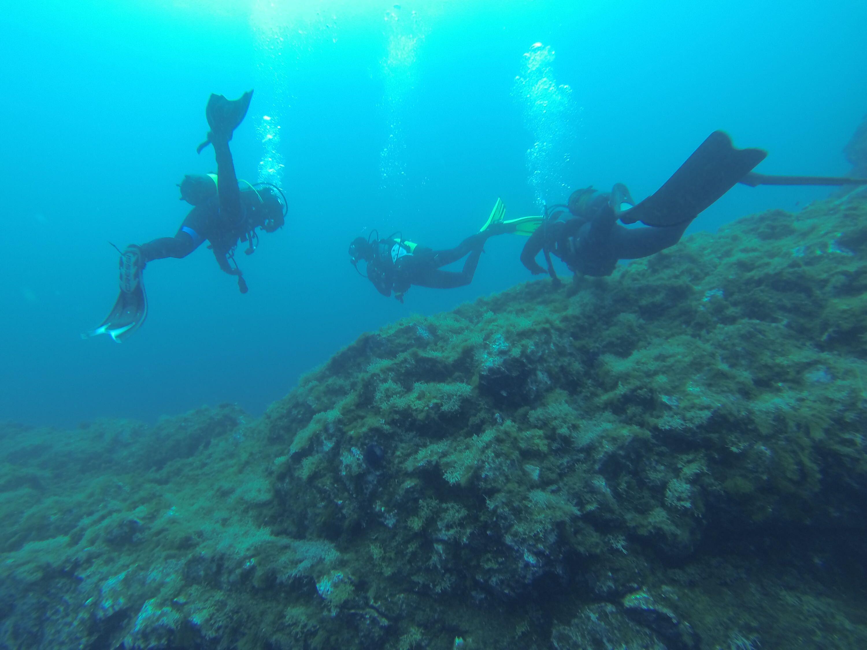 Picture taken during the dive